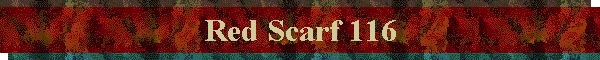 Red Scarf 116