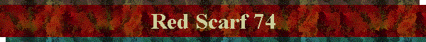Red Scarf 74