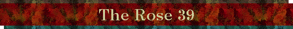 The Rose 39