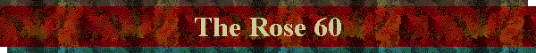 The Rose 60